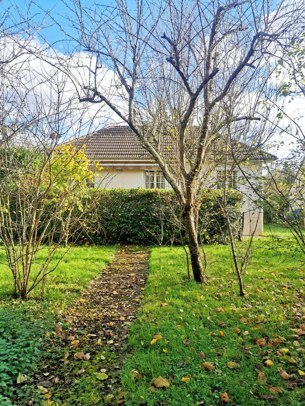 MAISON INDIVIDUELLE DE PLAIN-PIED avec sous-sol total sur 1000m2 de terrain arboré