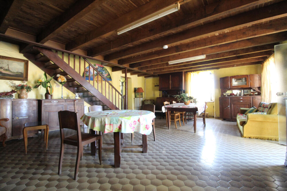 Vente Maison Grande propriété de 235 m2 à rénover   Terrain de plus de 1 500 m2, avec dépendances Mounes prohencoux