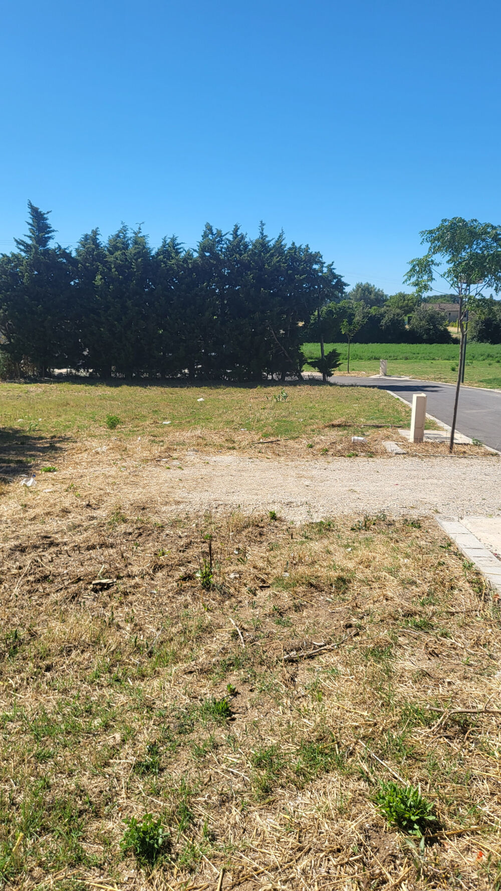 Vente Terrain Nouveautés: Terrains à batir idéalement situés à Piolenc Piolenc
