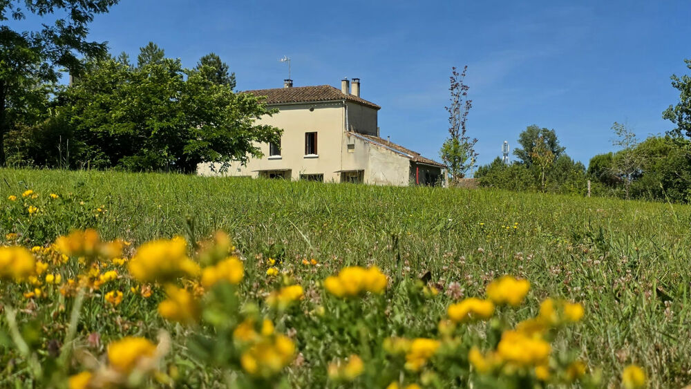 Vente Maison MAISON T4 - 106M2 EN CAMPAGNE AVEC TERRAIN D'1HA ET DEPENDANCE / PROCHE NERAC Reaup lisse