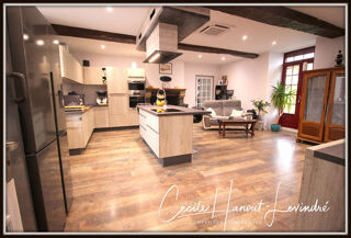  Maison � vendre 15 + pi�ces 355 m�