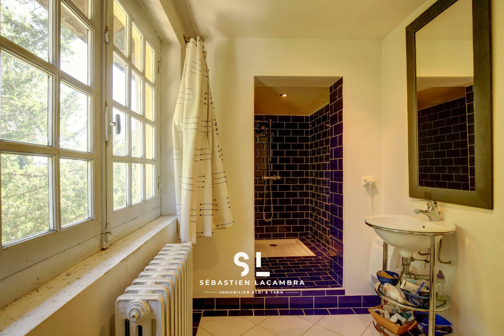  vendre  Proprit/chteau Rivires (81600)