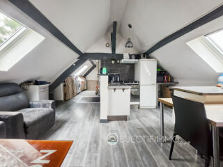  Duplex/triplex  vendre 3 pices 40 m