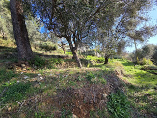  Terrain � vendre 1000 m�