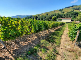  Terrain � vendre 7256 m�