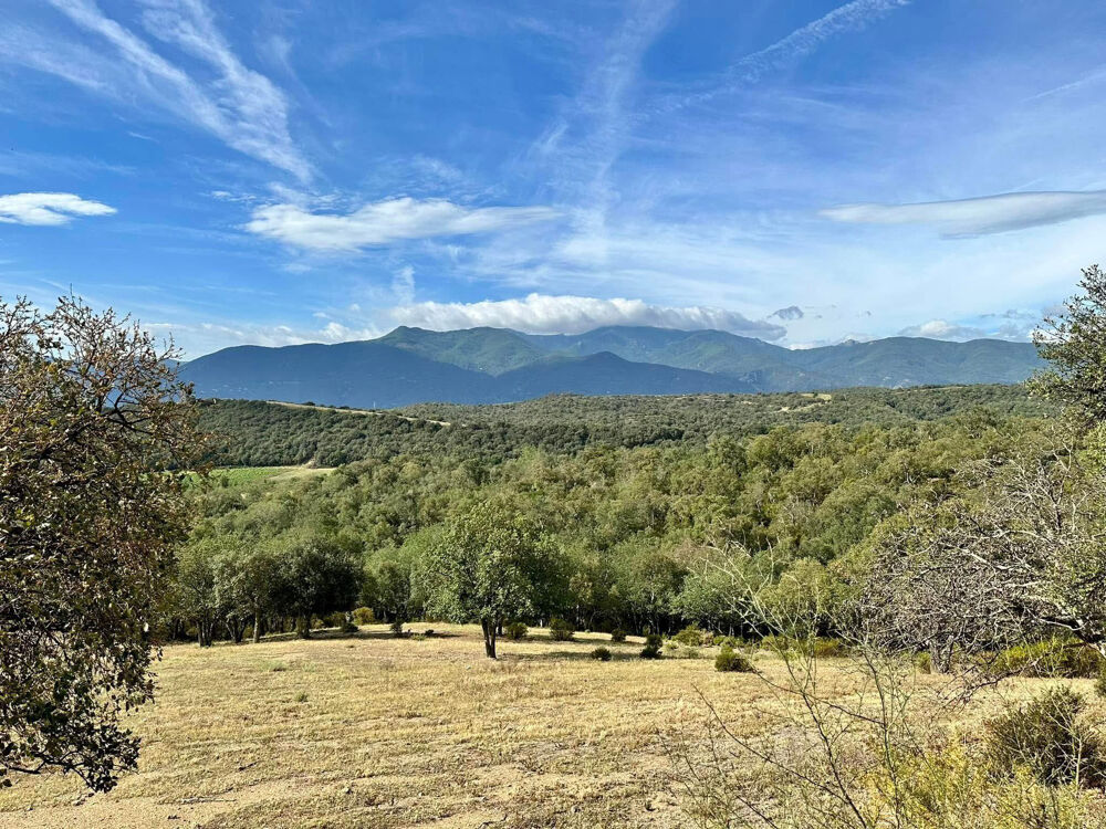 Vente Terrain Terrain 22 800 m2 joli potentiel Vives
