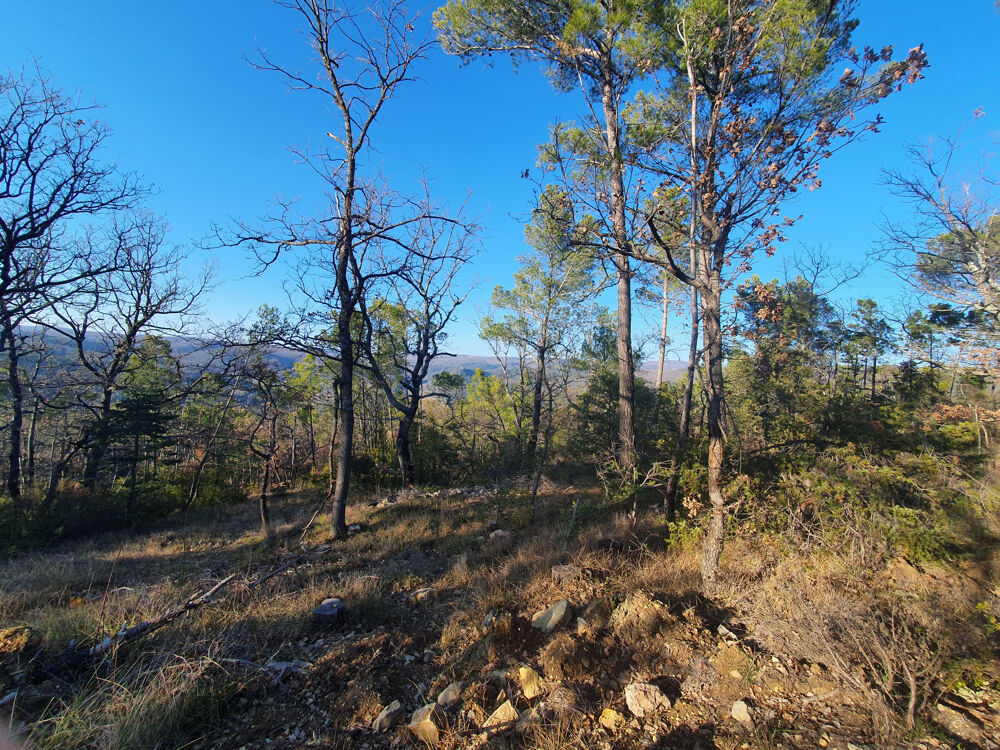 Vente Terrain Terrain de loisirs Chateaudouble