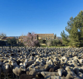  Maison � vendre 7 pi�ces 250 m�