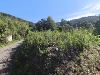  Terrain � vendre 801 m�