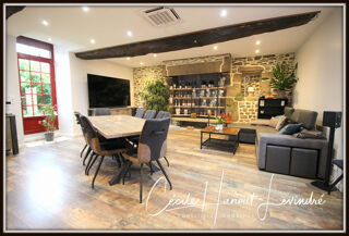  Maison � vendre 15 + pi�ces 355 m�