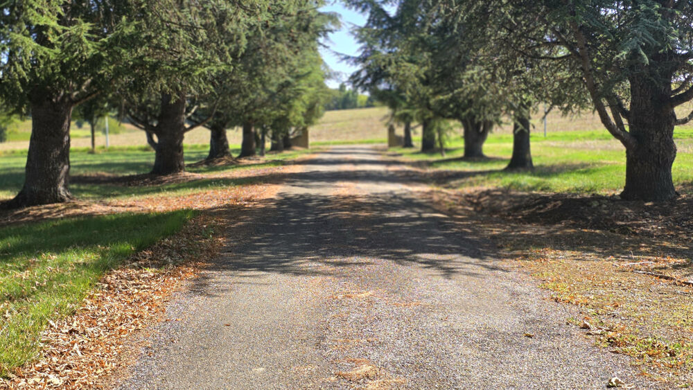 � vendre  Propri�t�/ch�teau Montr�al (32250)