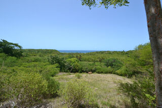  Terrain à vendre 4000 m²