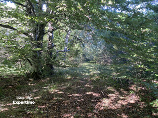  Terrain à vendre 161158 m²