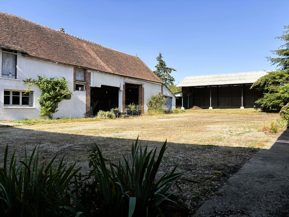Vente Ferme SAVIGNY-SUR-CLAIRIS Savigny sur clairis
