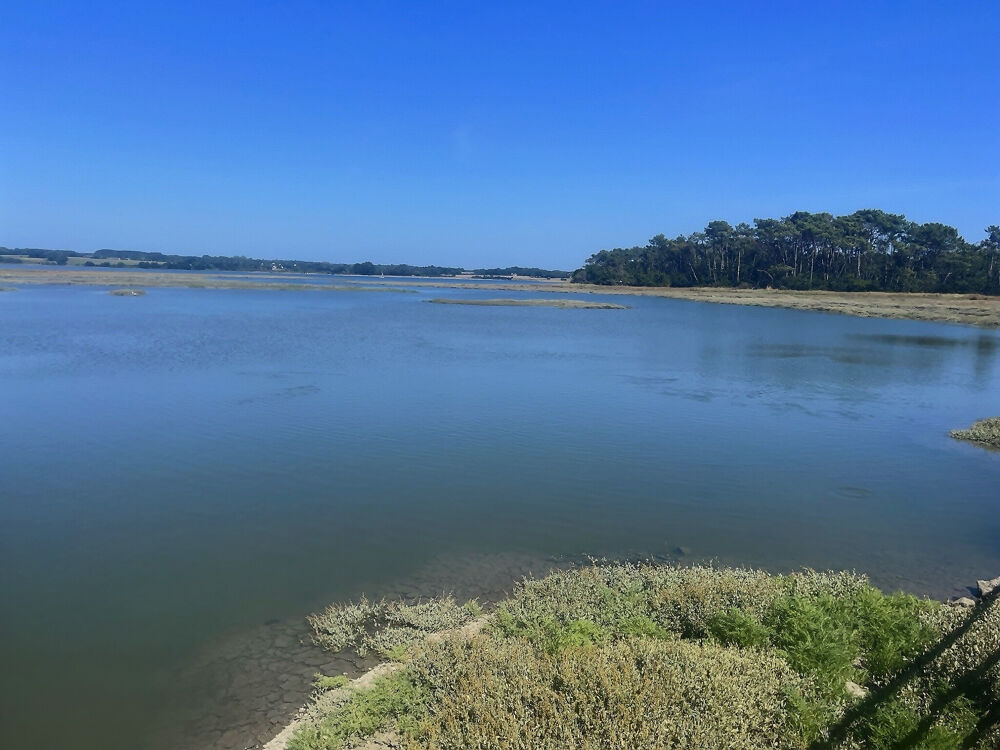 � vendre  Propri�t�/ch�teau Pont-l'Abb� (29120)