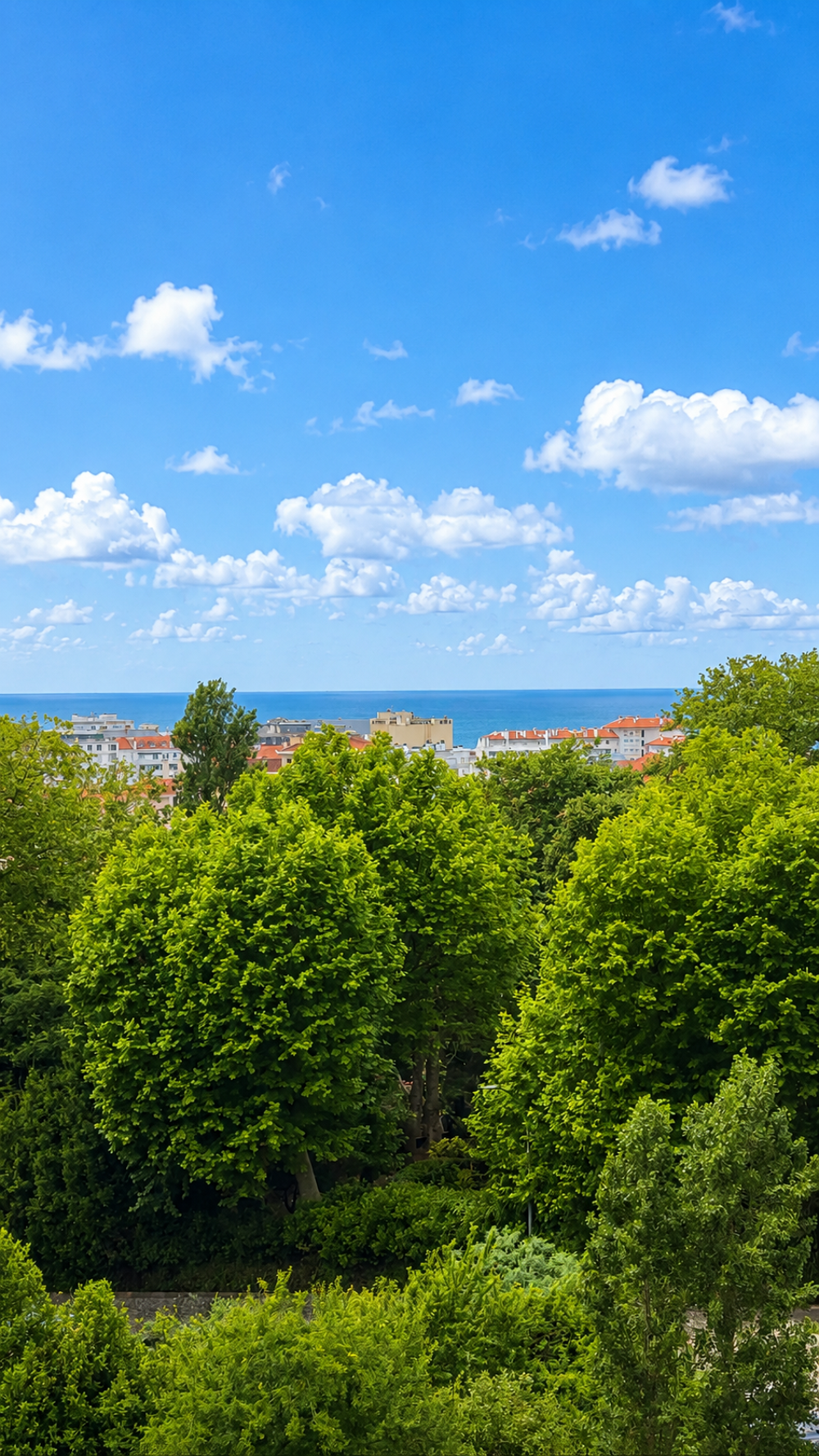 Vente Appartement Appartement 82 M2 -3 chambres- à rénover- Vue panoramique océan Biarritz