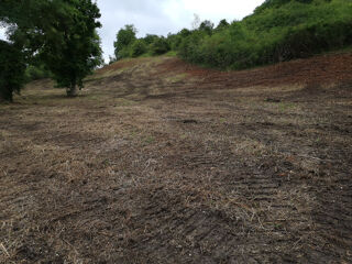  Terrain � vendre 488 m�