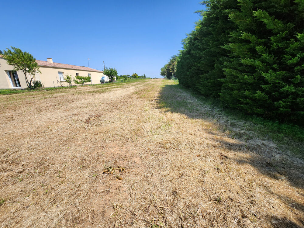 Vente Terrain Terrain constructible hors lotissement à viabiliser St aubin la plaine