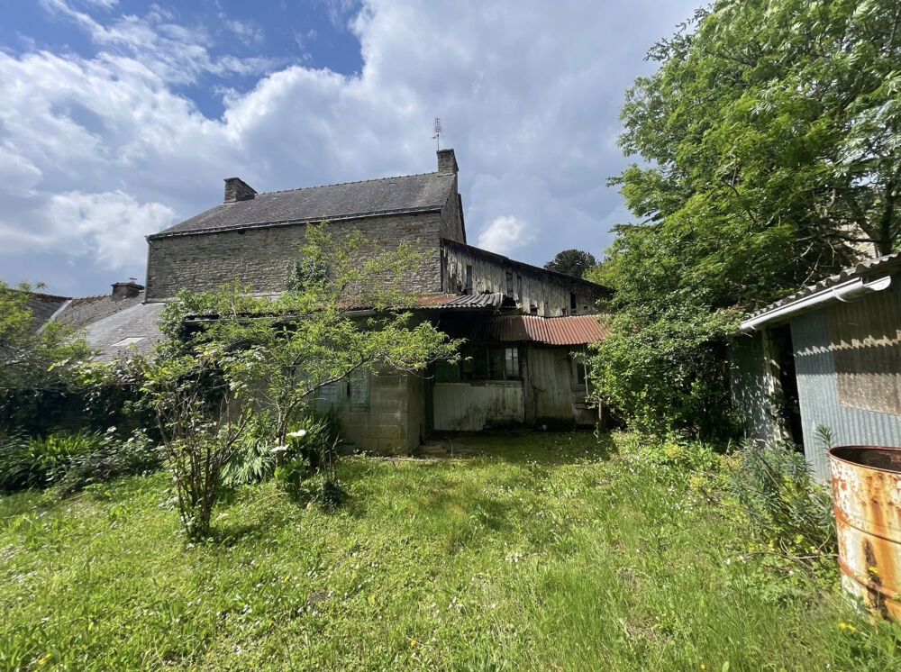 Vente Maison Maison en pierre avec atelier Lizio