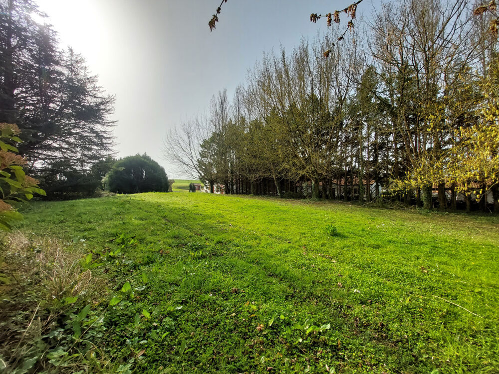 Vente Terrain Guiche - Terrain plutôt plat à vendre Guiche