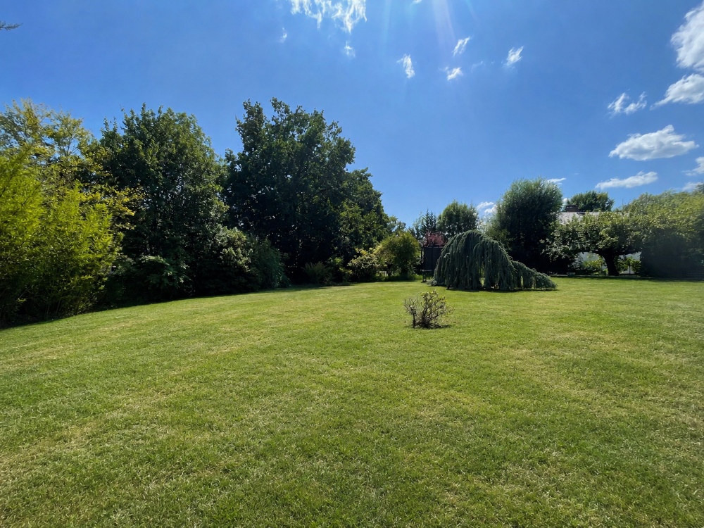 Vente Terrain TERRAIN A BATIR - Proche centre Divonne les bains
