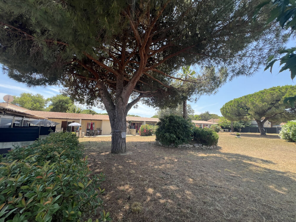 Perols (34) studio meublé 29 m2