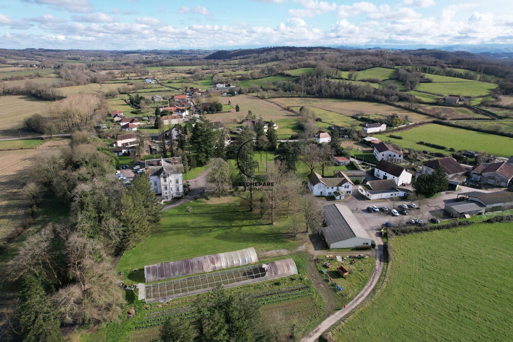  vendre  Proprit/chteau Espiute (64390)