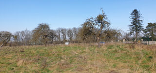  Terrain  vendre 1229 m