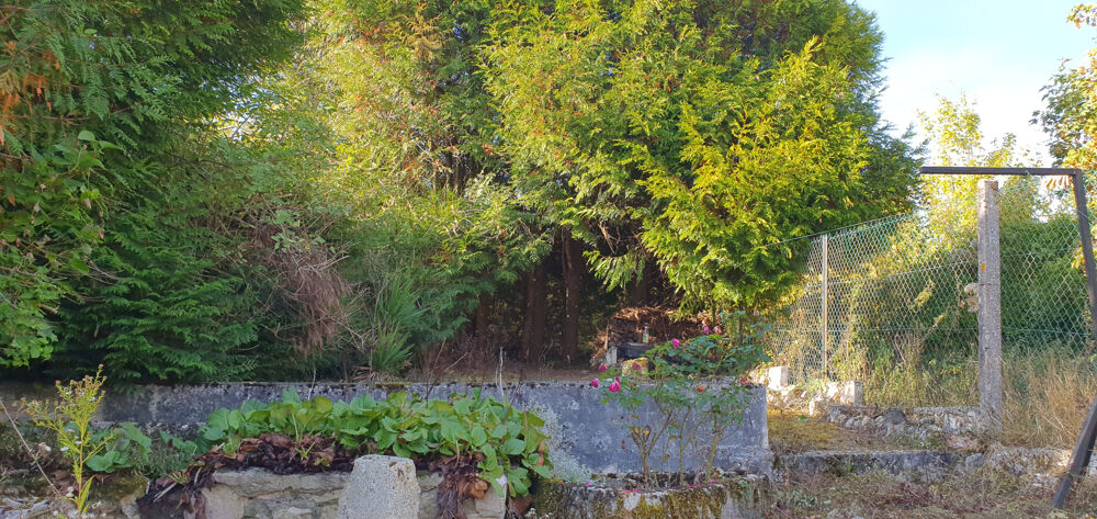 Vente Maison MAISON A RENOVER St gilles