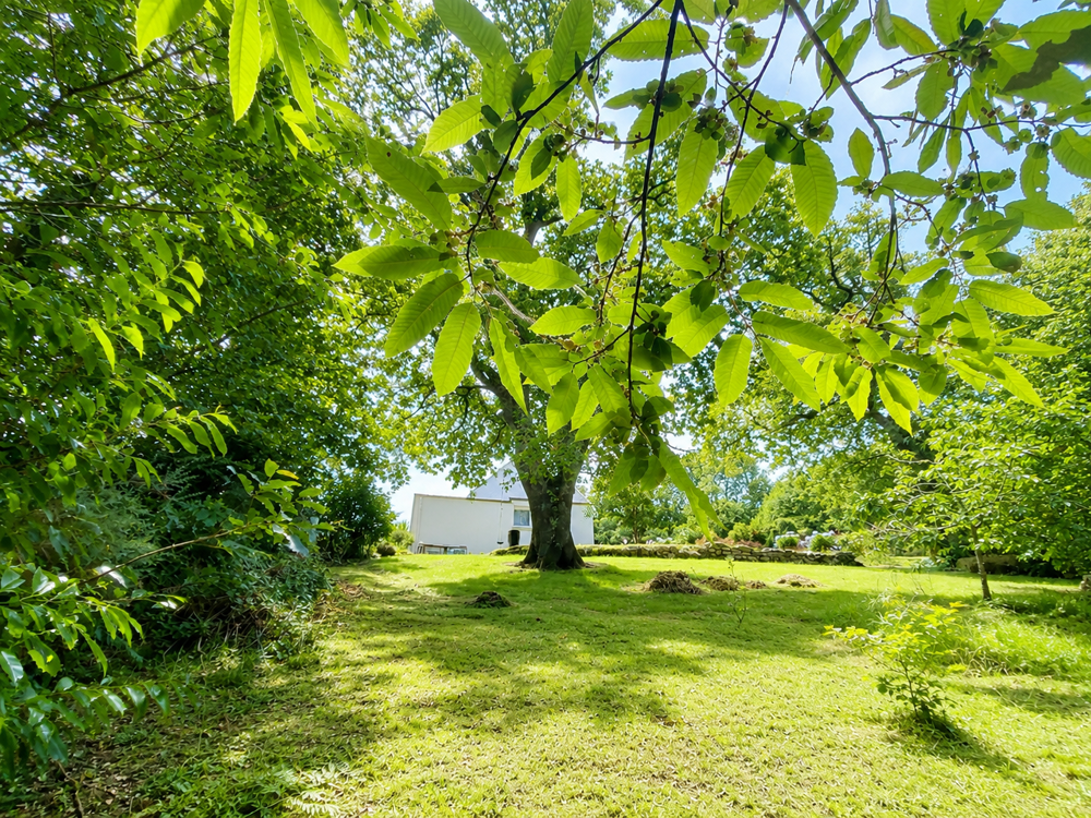 MELGVEN MAISON FAMILIALE RÉNOVÉE ENTRE CAMPAGNE ET LITTORAL 4 chambres