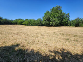  Terrain à vendre 3108 m²