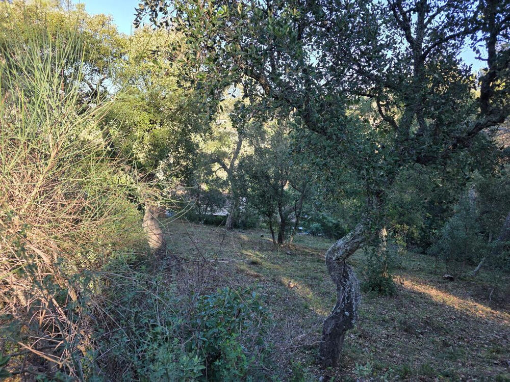 Vente Terrain Pierrefeu Terrain à bâtir 1500 m2 Libre constructeur Pierrefeu du var