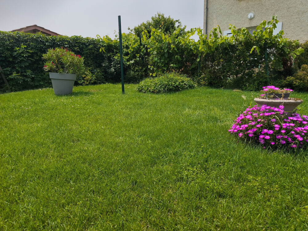 Location Maison Maison avec terrain et garage Estrablin