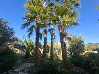  Appartement � vendre 2 pi�ces 32 m�