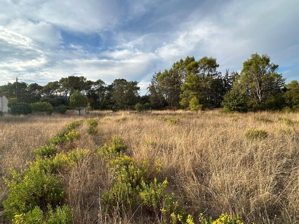 Vente Terrain Terrain clos d'env. 5000 m2 Cabanon en bois 2 puits Gonfaron