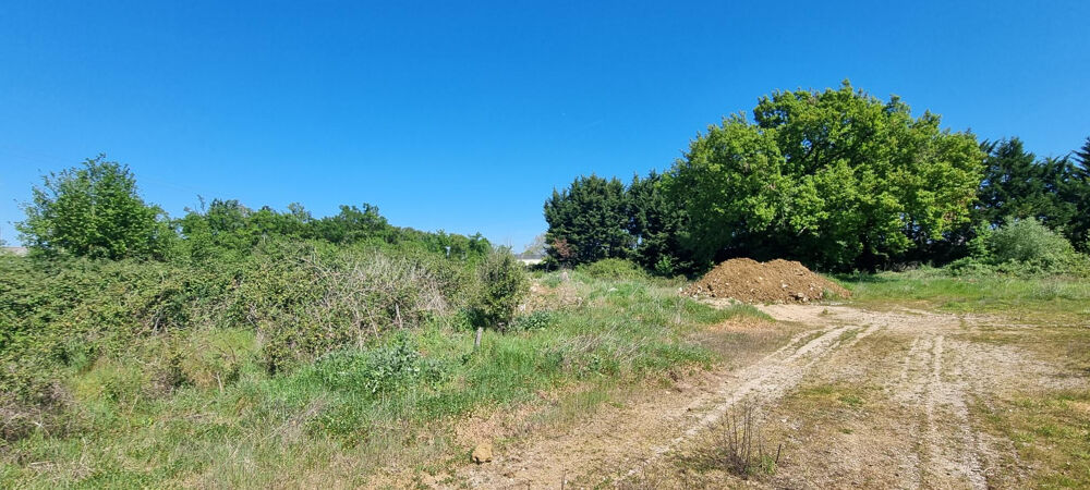 Vente Terrain TERRAIN A CONSTRUIRE - ZONE ARTISANALE - PROJETS COMMERCIAUX Chatellerault