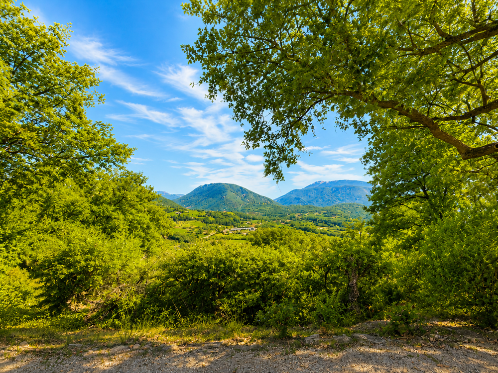 Vente Maison FAUCON   EXCLUSIVITÉ   UN LIEU À PART, ENTRE NATURE ET PANORAMA Vaison la romaine