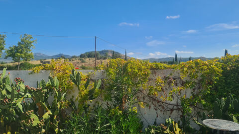 Murs restaurant +maison sur 2000m2 330000 34700 Le bosc