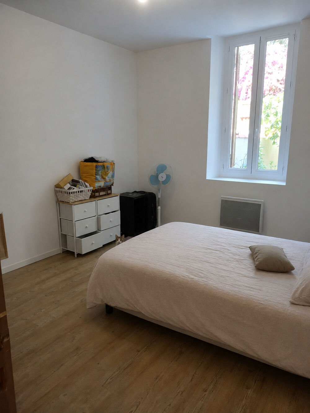 Location Appartement 13004 MARSEILLE APPART 2 PIECES EN REZ DE JARDIN TERRASSE JARDIN Marseille 4