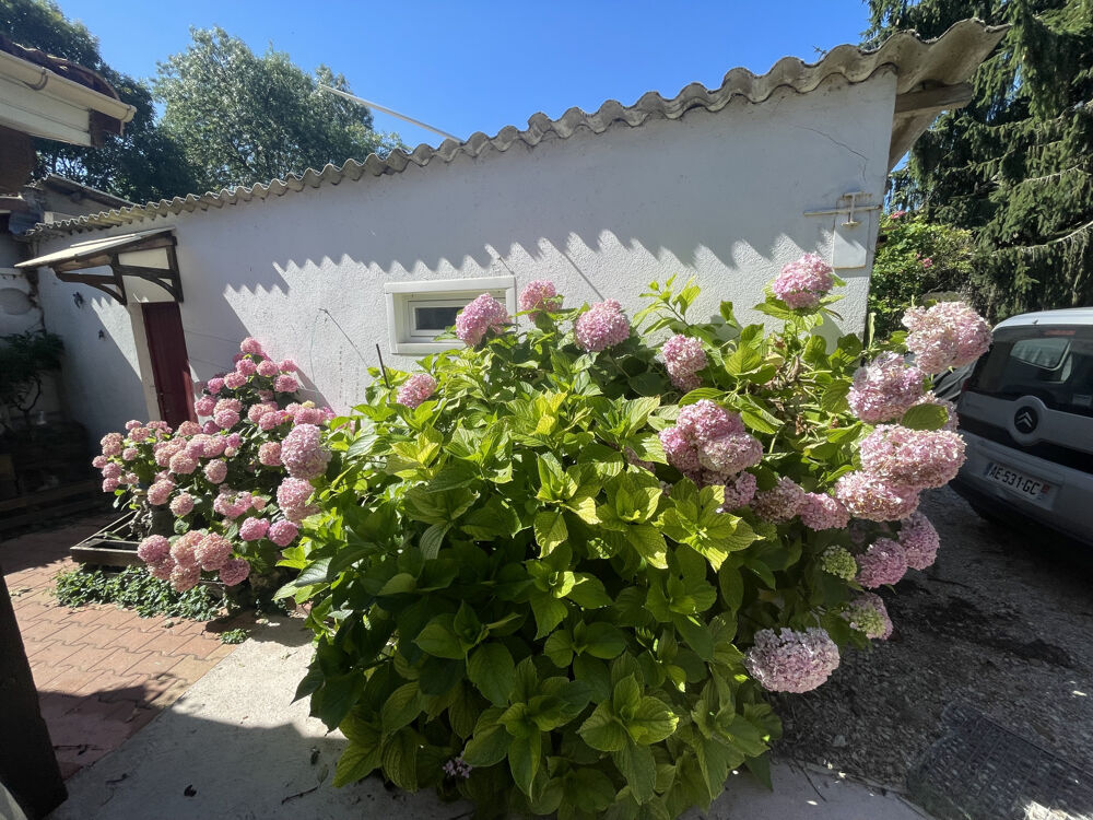 Vente Maison Maison de ville plain-pieds avec jardin Montauban