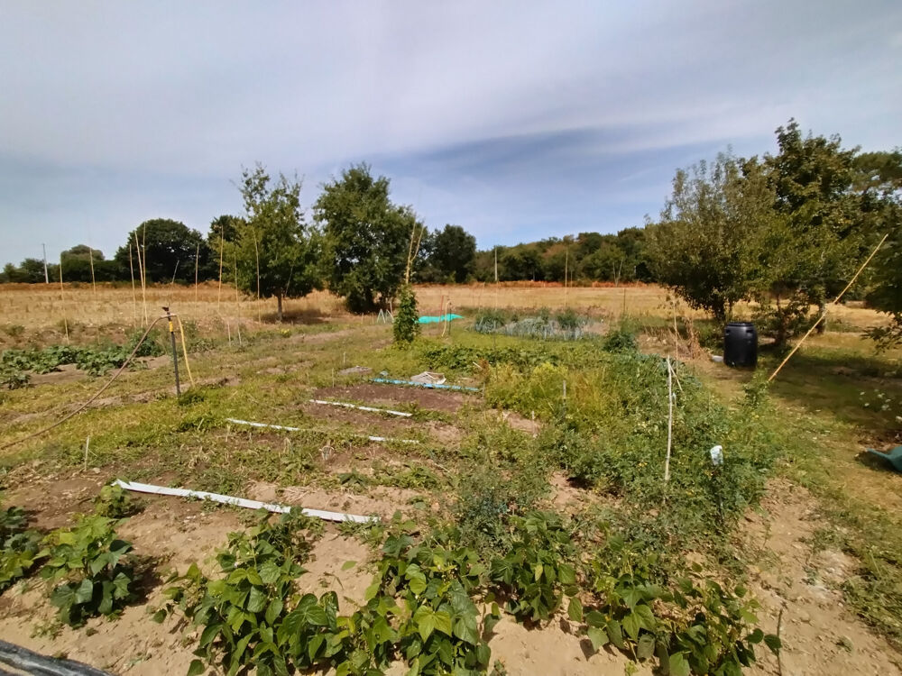 Vente Maison ARRADON / RARE SUR LE MARCHÉ Arradon