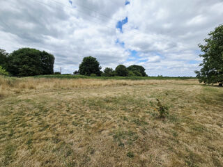  Terrain à vendre 8000 m²