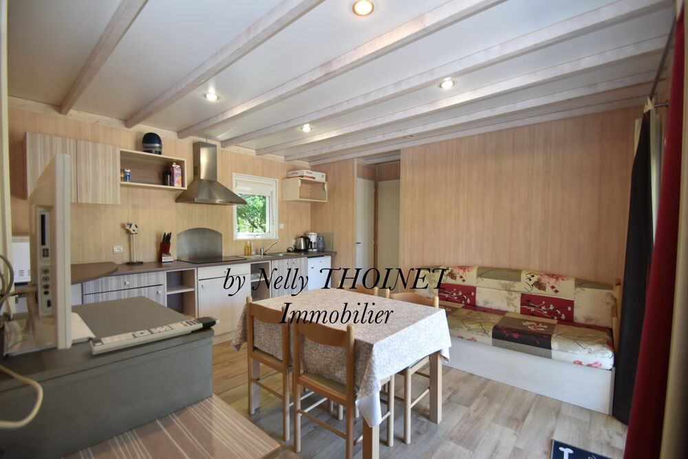 Dépt.63, PROCHE SUPER BESSE, EGLISENEUVE D'ENTRAIGUES, CHALET DE LOISIRS, 35 m2, 3 chambres, terrasse et terra