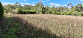  Terrain à vendre 2800 m²