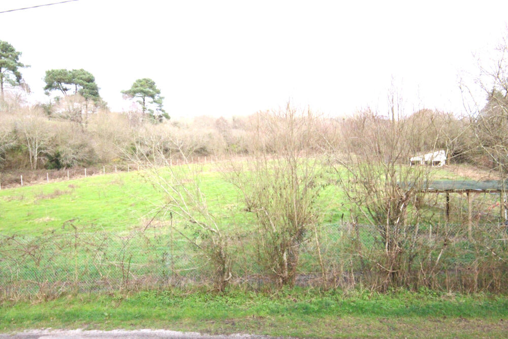 Vente Maison Maison avec dépendances et 10 000 m2 de terrain agricole. St ave