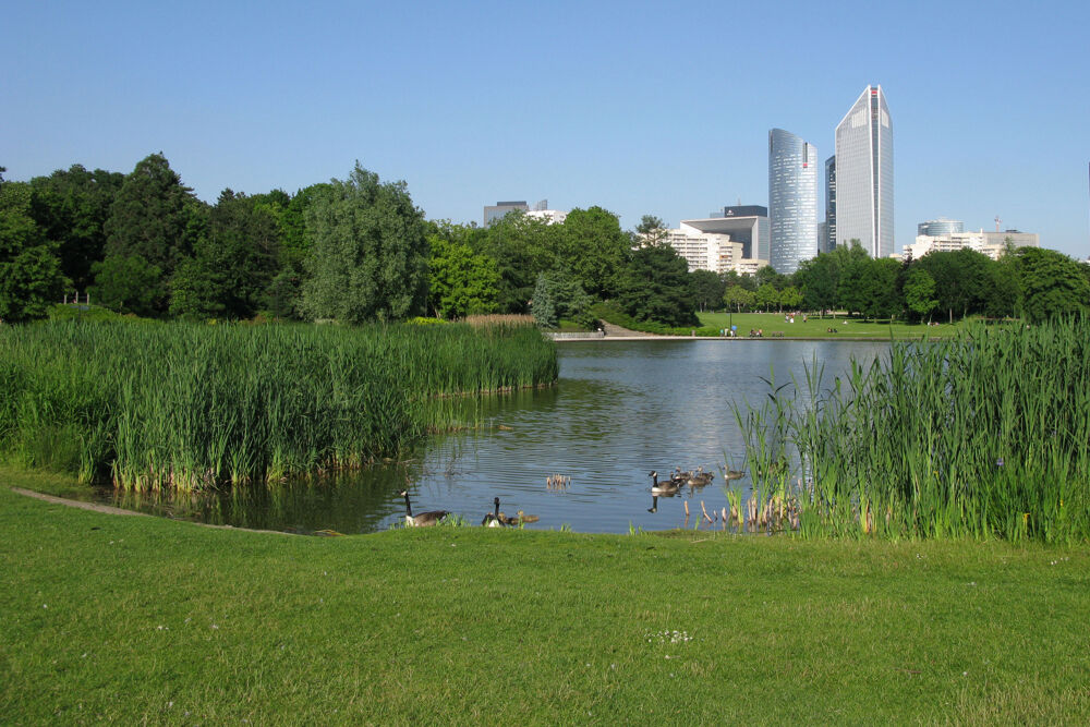  vendre  Duplex/triplex Nanterre (92000)