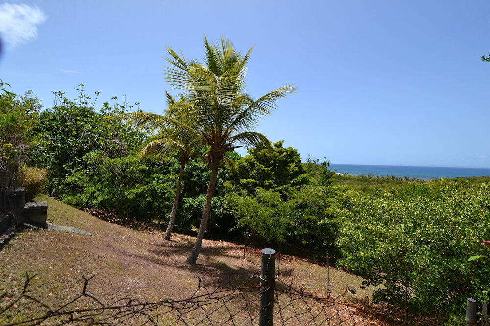 à vendre  Propriété/château Sainte-Anne (97180)
