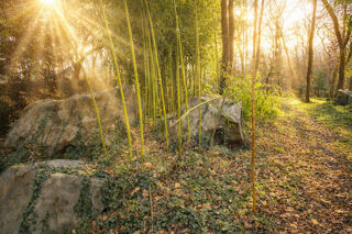  Terrain � vendre 2400 m�