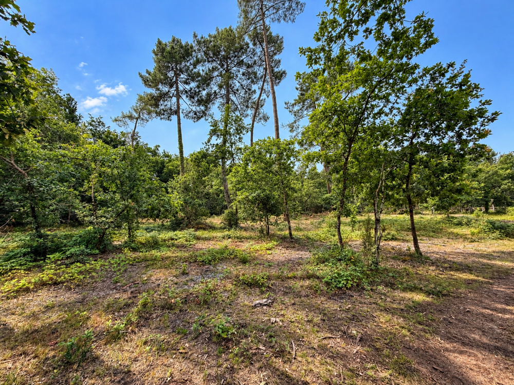 Vente Terrain Terrain constructible de 1100m2 Le barp