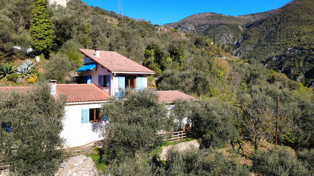 Vente Maison Maison dans les oliviers Breil sur roya